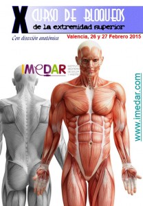 2015. Curso Extremidad Sup IMEDAR 26-27 Febrero